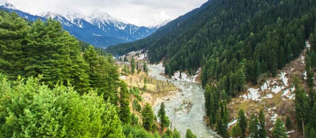 pahalgam_lidder-river-flowing-through-lavender-park-in-pahalgam-valley-pahalgam-kashmir